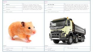 It Takes A Very Special Hamster To Steer A Truck